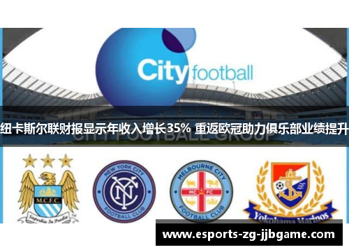 纽卡斯尔联财报显示年收入增长35% 重返欧冠助力俱乐部业绩提升